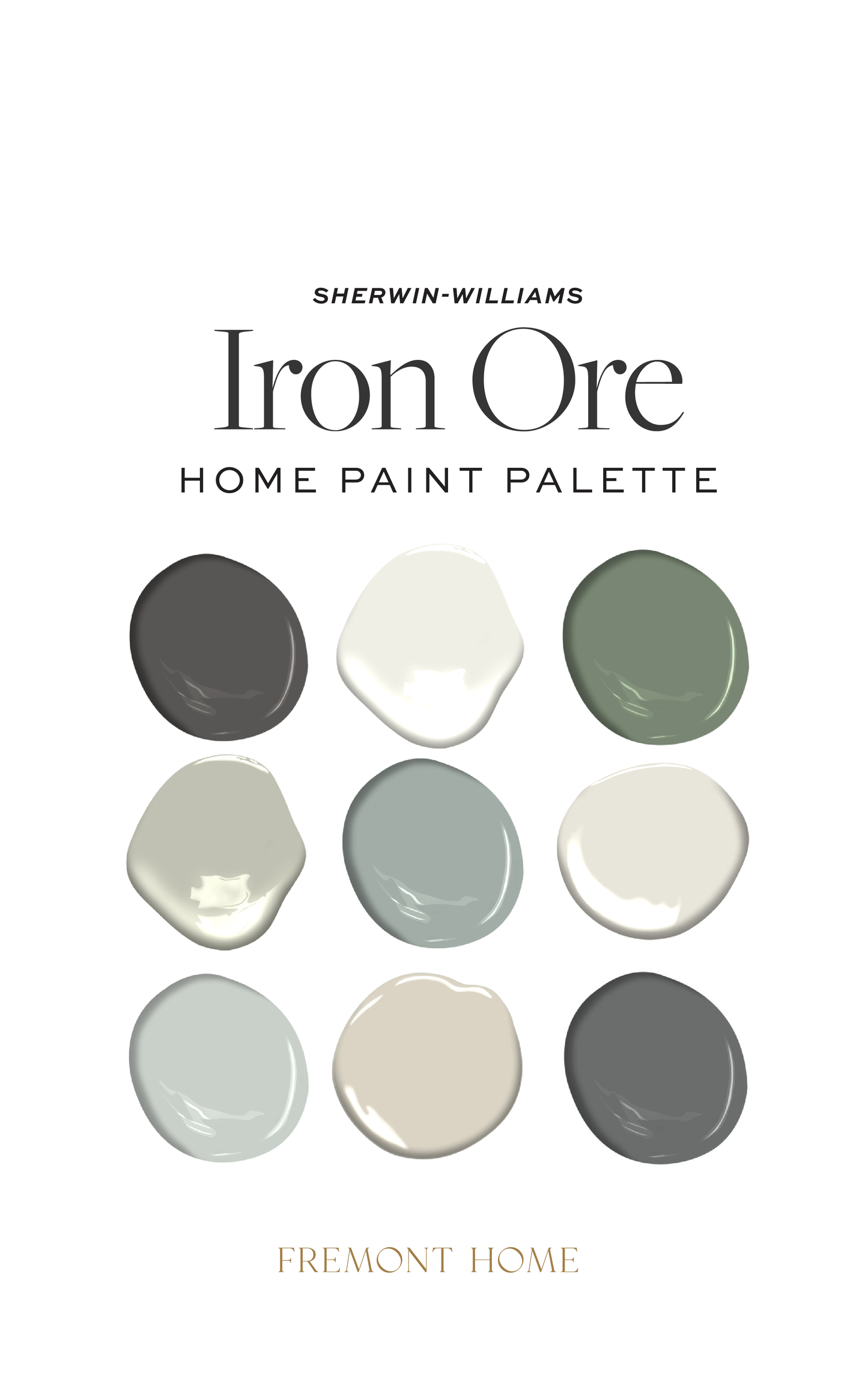 Sherwin Williams Iron Ore Home Color Palette